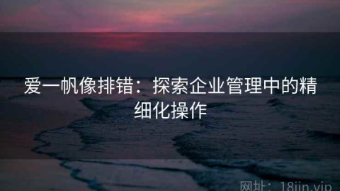 爱一帆像排错：探索企业管理中的精细化操作