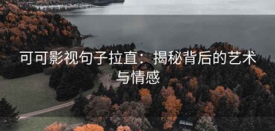 可可影视句子拉直：揭秘背后的艺术与情感