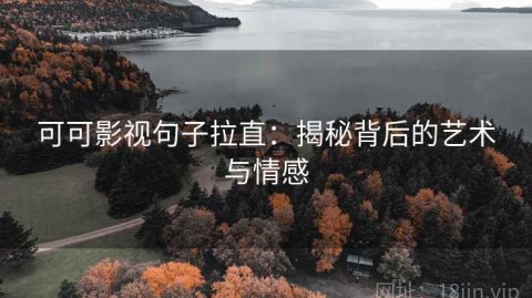 可可影视句子拉直：揭秘背后的艺术与情感