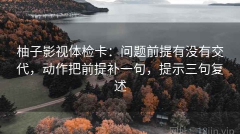 柚子影视体检卡：问题前提有没有交代，动作把前提补一句，提示三句复述