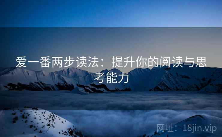 爱一番两步读法:提升你的阅读与思考能力 爱一番两步读法:提升你的阅读与思考能力