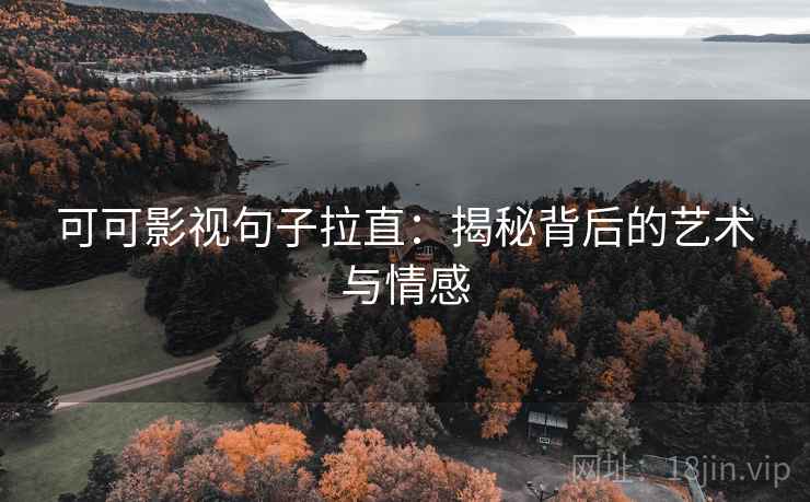可可影视句子拉直：揭秘背后的艺术与情感